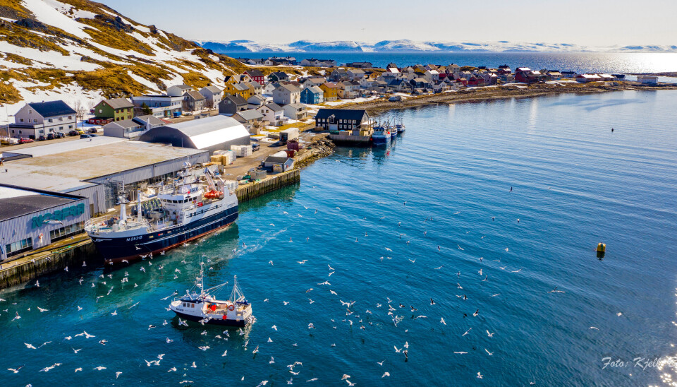 FISKERIHAVNER, her ved den kommunale fiskerihavna i Nordvågen i Nordkapp kommune, er tema under årets kyst- og havnekonferanse i Honningsvåg.