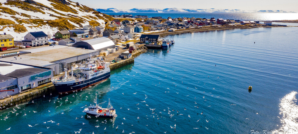 Milliondryss til elleve nye fiskerihavner