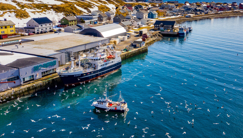Den kommunale fiskerihavna i Nordvågen i Nordkapp kommune.
