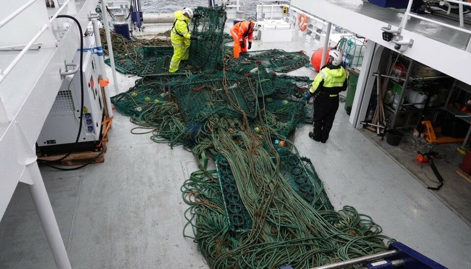 FANGST: 27 krabbeteiner og 2000 meter tauverk ble soknet opp sist mandag av Sjøtjenesten.