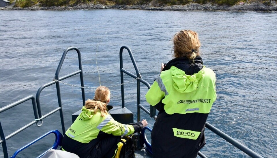 TILSYN: Fiskeridirektoratet gjennomførte tilsyn ved ni tilbaketrukne oppdrettslokaliteter på Vestland og Møre og Romsdal.