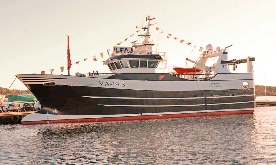 USLÅELIG: Ingen fisker mer lysing enn 'Tenor'. Tråleren ble levert av Vestværftet i Danmark i 2019.