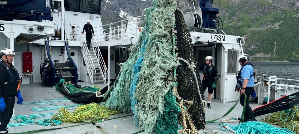 Torsdag starter direktoratet årets ryddeaksjon - returneres eier når mulig