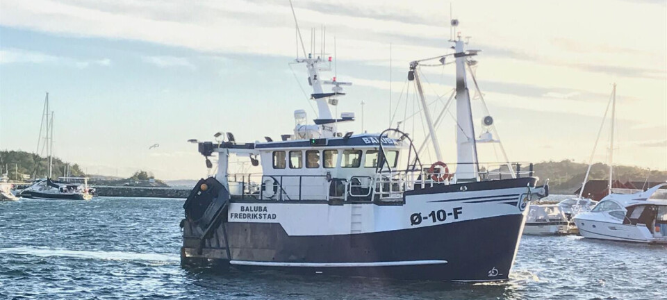 Baluba på topp