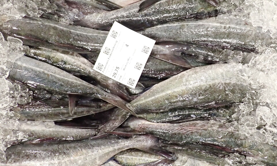 Foreslåtte endringer av auksjonsplikten er satt på vent