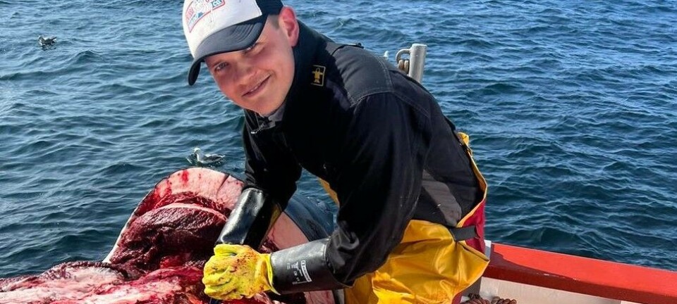 Jørgen er ung, han er skipper på egen båt, og han er kvalfanger