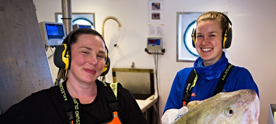 Bunntråltoktet i Nordsjøen stanset av været - gjorde funn