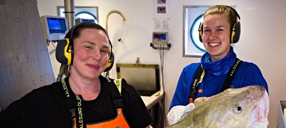 Bunntråltoktet i Nordsjøen stanset av været - gjorde funn