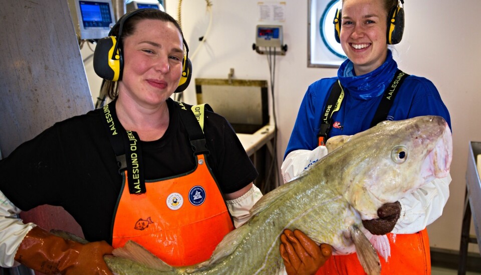 RUGG: Ingeniørene Susanne Tonheim og Elise Eidset holder den største torsken som kom fra den første delen av toktet. Denne karen er på 16 kilo.