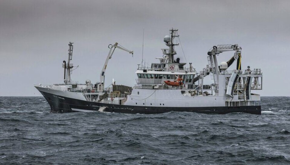 I GANG MED MAKRELLEN: Det ligger nå 12 fartøy på leting og i fiske på 64 graden i norsk sone, med flere fartøy på vei. melder sildesalgslaget i sin ukesrapport. Bilde for illustrasjon.