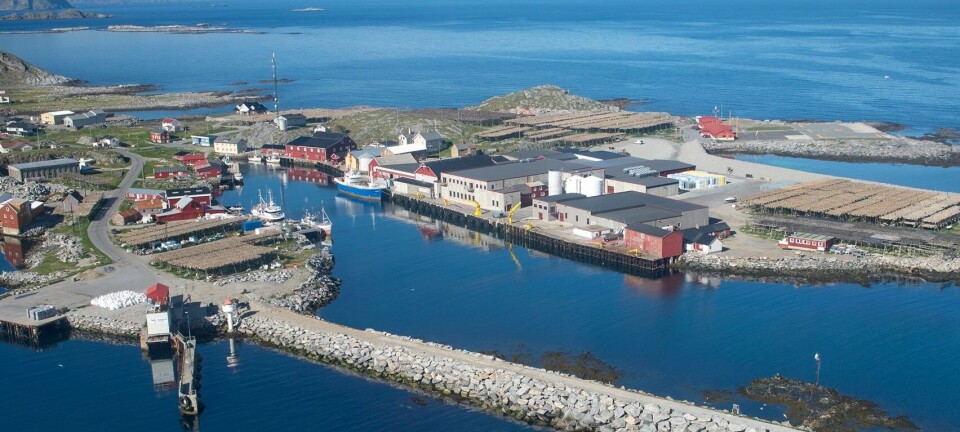 Resultatøkning tross inntektsfall