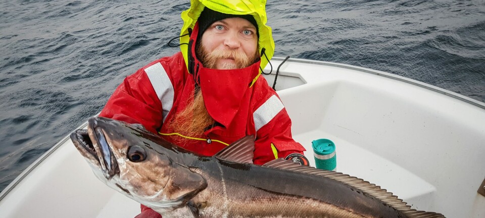 Den er Nordsjøens barracuda