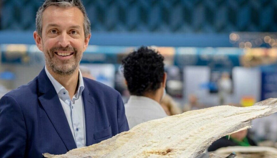 FORNØYD: – Italia er Norges viktigste tørrfiskmarked, mens Portugal og Brasil er våre viktigste klippfiskmarkeder, forteller forbrukeranalytiker Lars Moksness i Sjømatrådet.