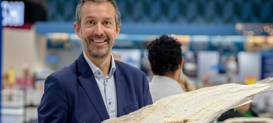 Stor markedsundersøkelse om norsk klippfisk og tørrfisk i utlandet: