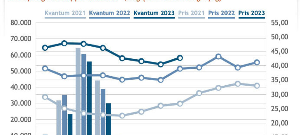 Sanksjoner gir rekordvolum av fryst torsk til Storbritannia
