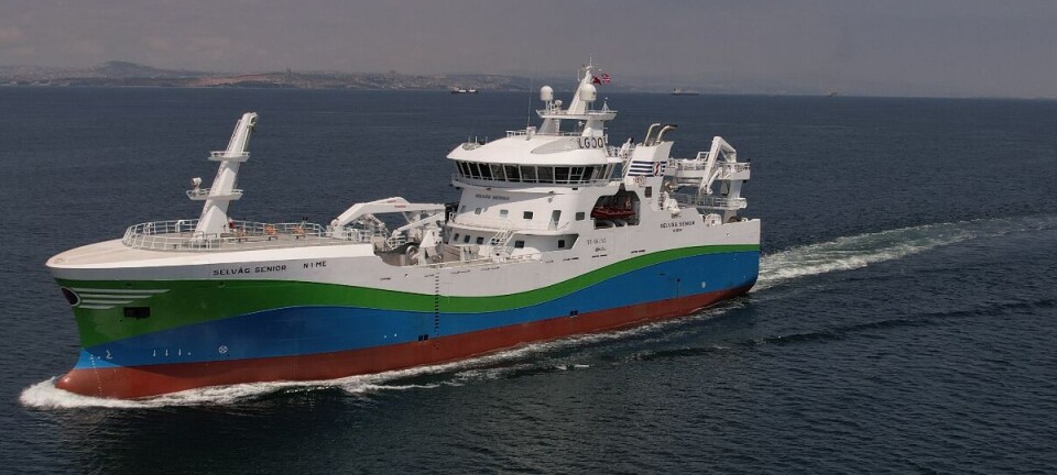 Se bildene: Nye «Selvåg Senior» er av splitter nytt design