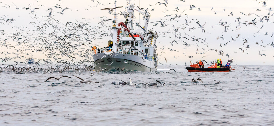 Flere viktige arter har mistet MSC-sertifisering.