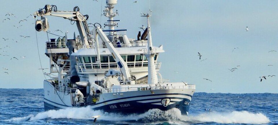 Sildebonanza i nord - makrellflåten ved kai