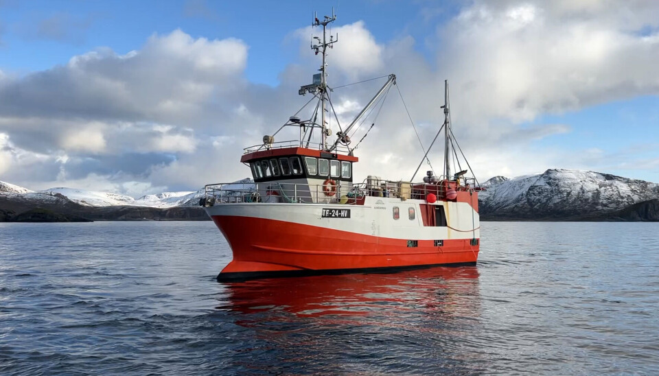 KVALITET: «Røstjenta» er utstyrt med et romslig utblødningskar med to pumper som sørger for god sirkulasjon av rent og kjølig vann. KVALITET: «Røstjenta» er utstyrt med et romslig utblødningskar med to pumper som sørger for god sirkulasjon av rent og kjølig vann.