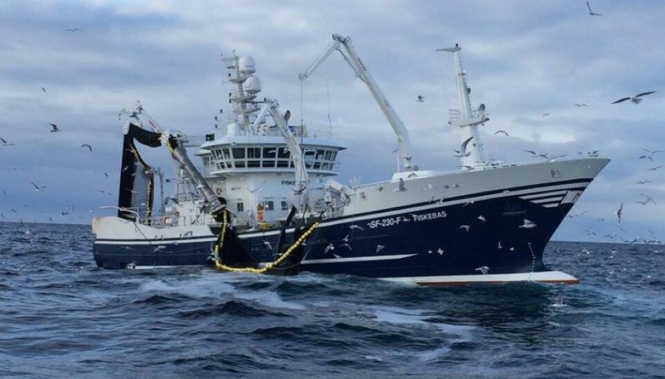 «Fiskebas» var en av bare to båter som fikk nordsjøsild forrige uke.