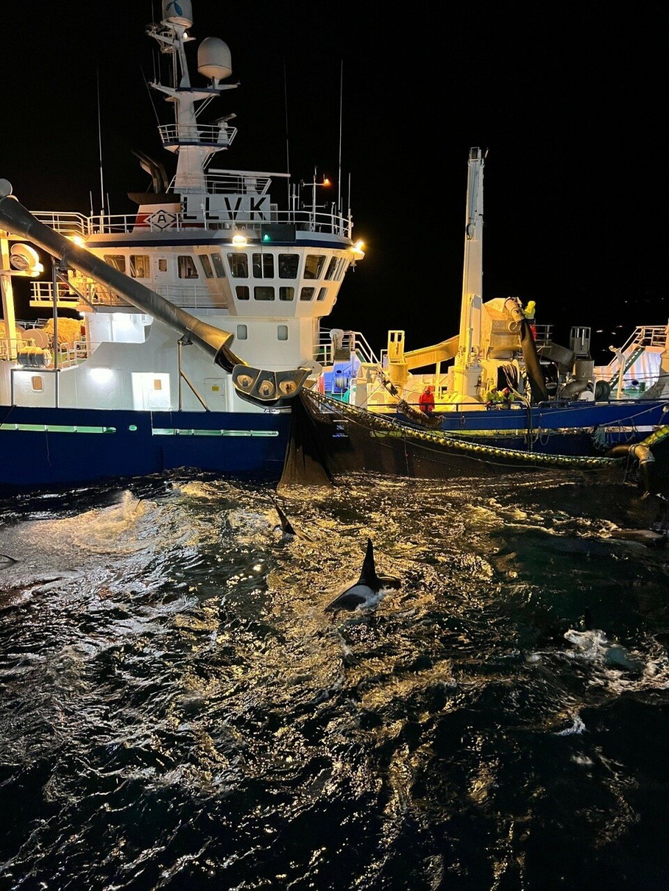 Illustrasjonsfoto nvg sildefiske Kvænangen.