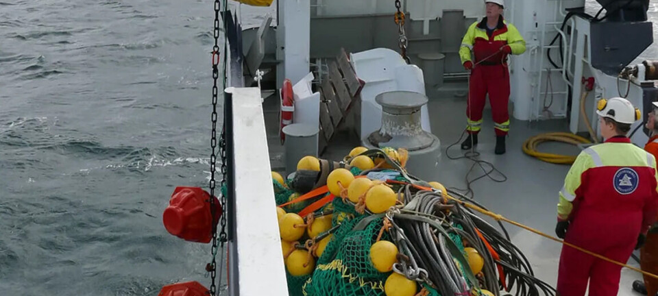 Norskehavet blir varmere og surere