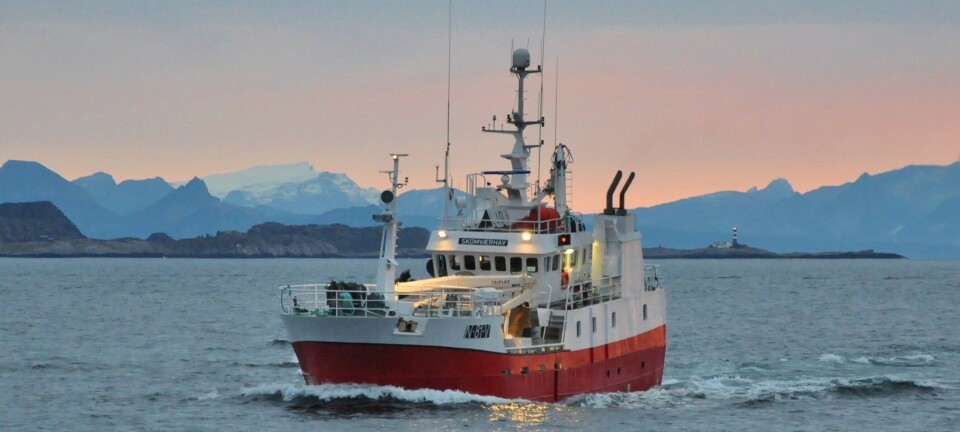 Rekordhøye inntekter for Kransvik AS