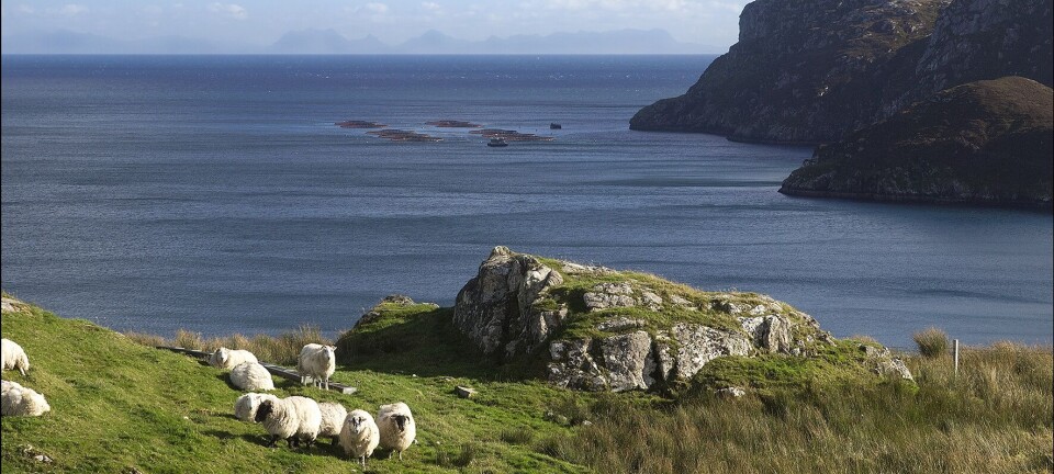 Norge og Færøyene enige om fiskeriavtale