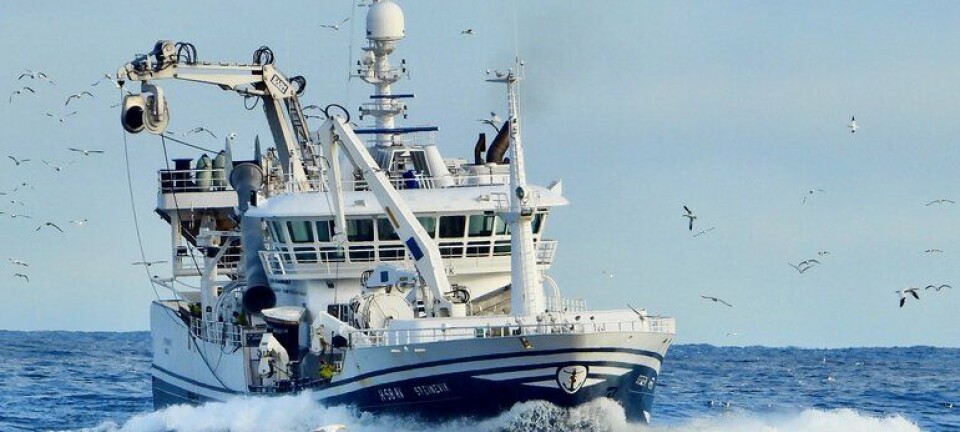 Juleferie for pelagisk - men noe action på hestmakrellen, makrellen og på silda