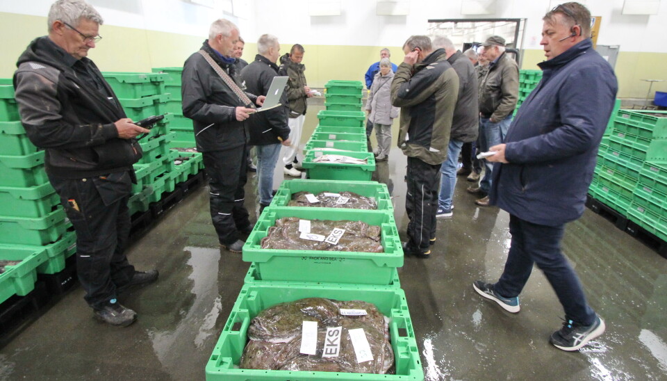 Vedtaket sikrer forutsigbarhet og fleksibilitet for både fiskere og industri, ifølge Norges Råsfisklag.