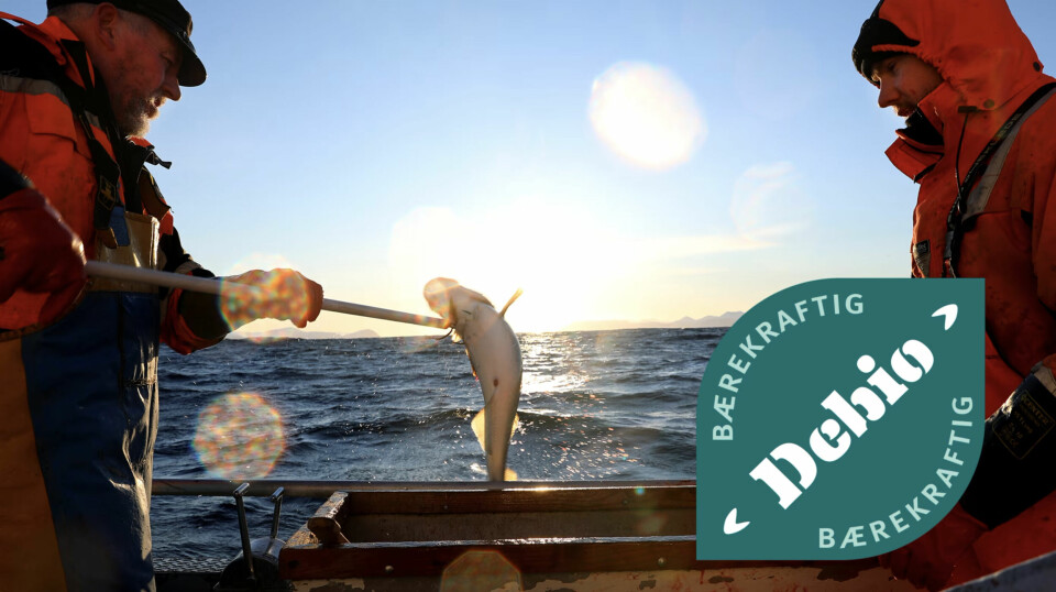 Den nye merkeordningen for bærekraftige fiskeprodukter garanterer fisk fra godt forvaltede bestander, fanget uten bunntrål og foredlet i Norge.