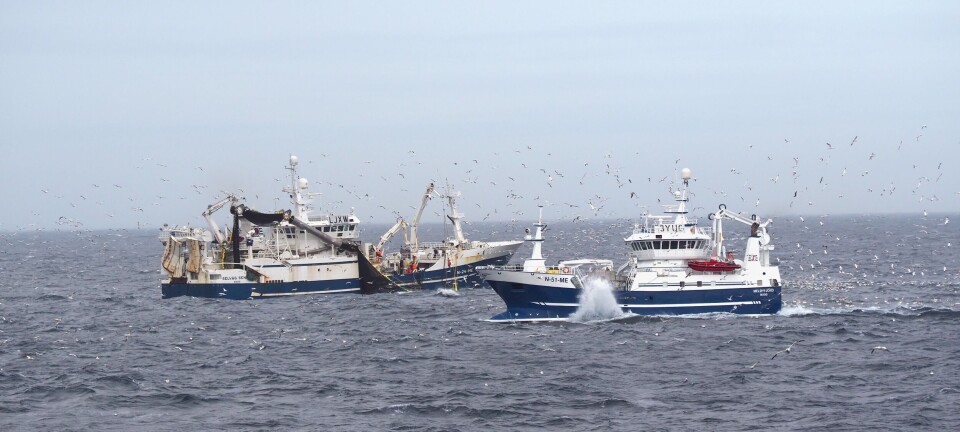 Brexit doblet karbonfotavtrykket til Norges makrellfiskeflåte