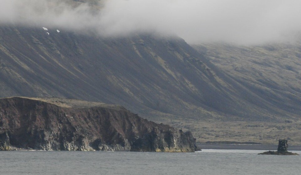 Det er lite som tyder på at det vil bli fisket noe torsk utenfor Jan Mayen i 2025. Jan Mayen kvoter