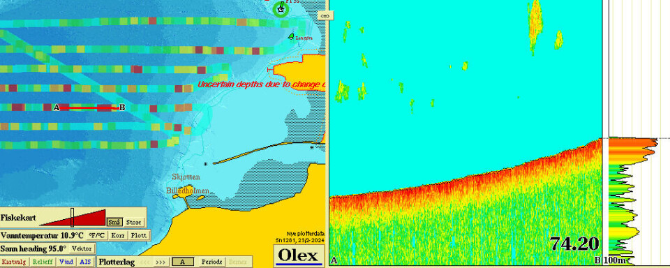 Det er mye fisk utenfor Værnes flyplass, men den står for høyt til å tas med snurrevad Mye fisk