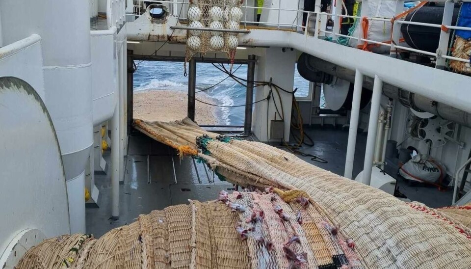 KVANNØY med godt hal under årets kolmulefiske.