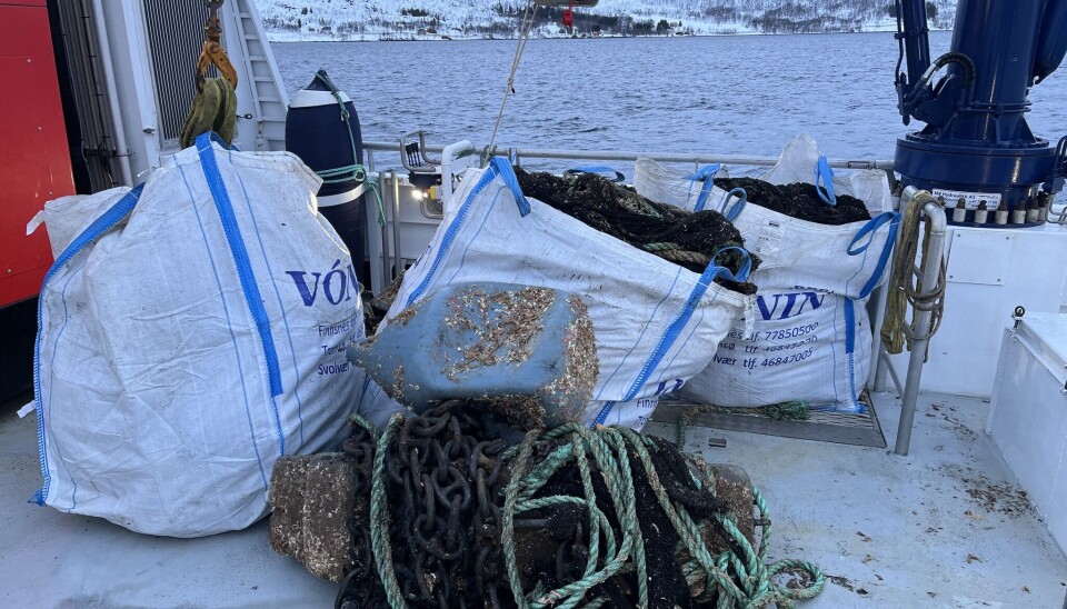 OPPRYDDING: Sjøtjenesten har nylig ryddet opp i etterlatenskaper fra et gammelt skjellanlegg i Gullesfjorden.
