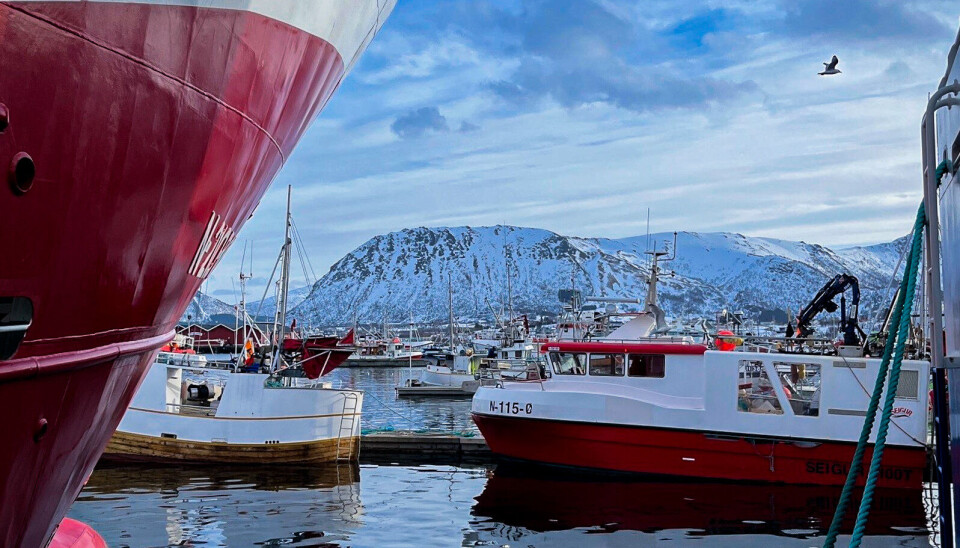 På alle fiskemottak er det vekter som skal veie mengden viltlevende marine ressurser, som for eksempel fisk og skalldyr. Justervesenet