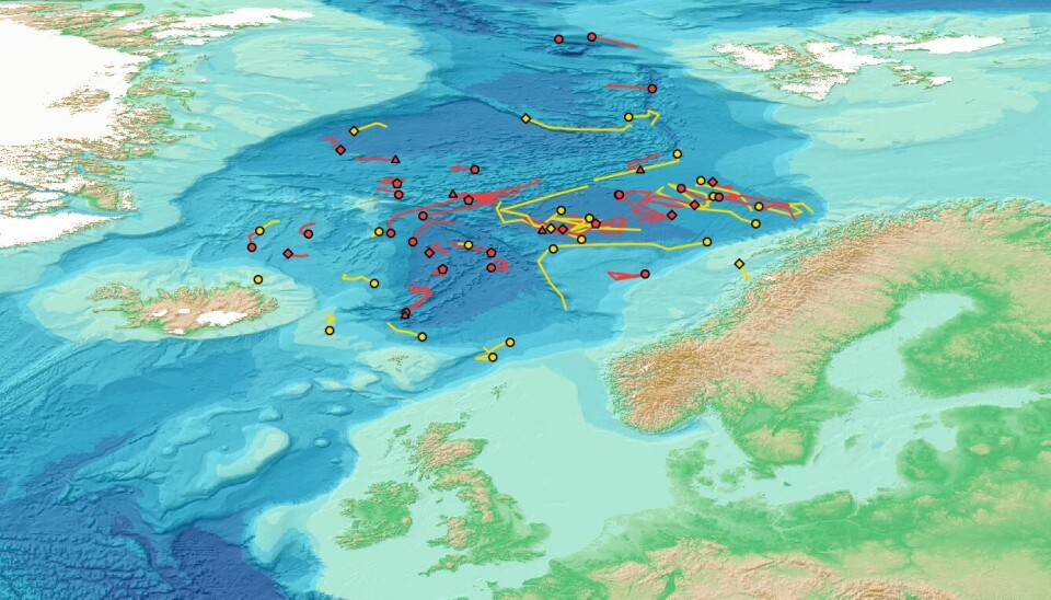 Sånn har Argo-bøyene beveget seg i Norskehavet første del av 2024. Se bøyenes bevegelser her. Argo-bøyer