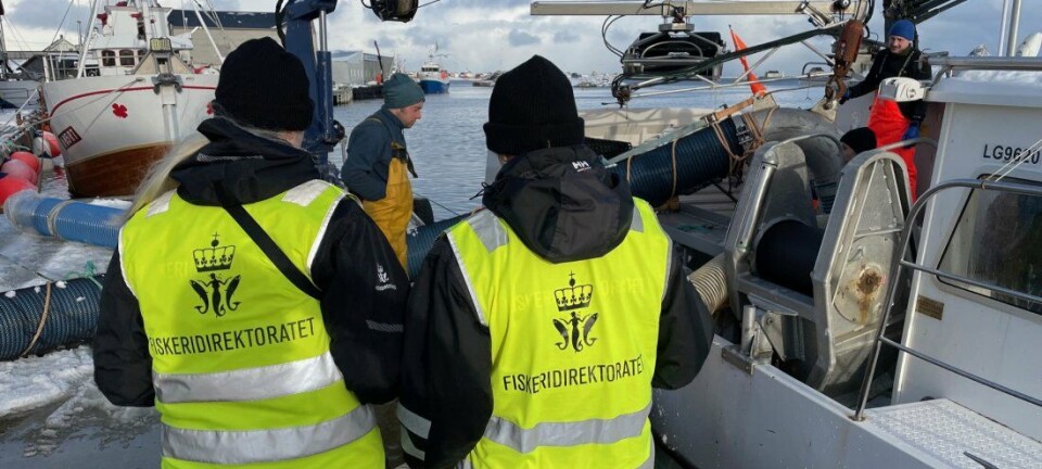 Hummerfiske Rogn Alt du trenger å vite om hummerfiske i Norge: Regler og ...