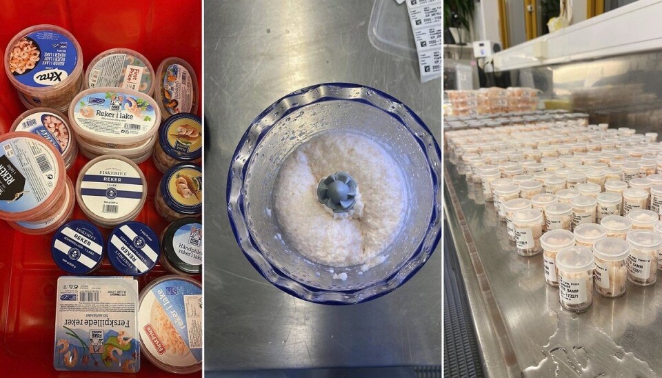 Sjømatforskerne så at skalldyr generelt har et høyt innhold av protein, essensielle aminosyrer og omega-3-fettsyrer.