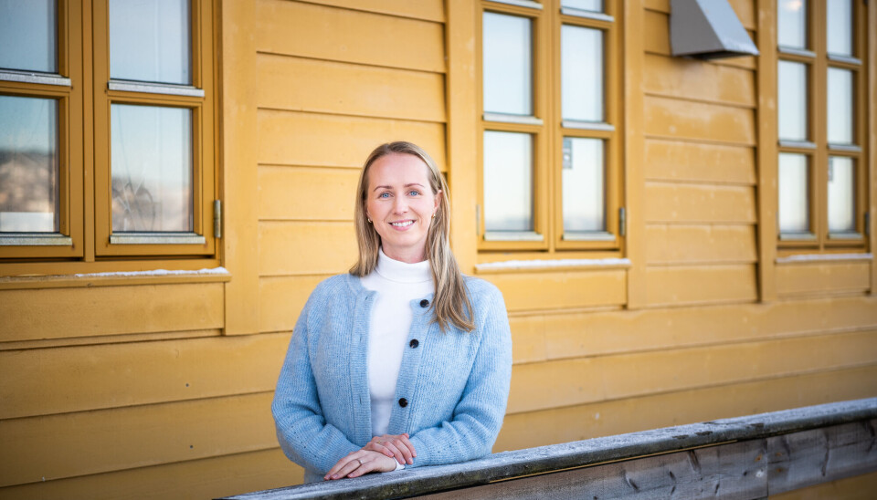 Som en del av doktorgradsarbeidet sitt, har Amalie Moxness Reksten analysert skalldyr for å oppdatere tall på næringsinnholdet. – Dette er et av de mest omfattende arbeidene jeg har kommet over, sier hun.