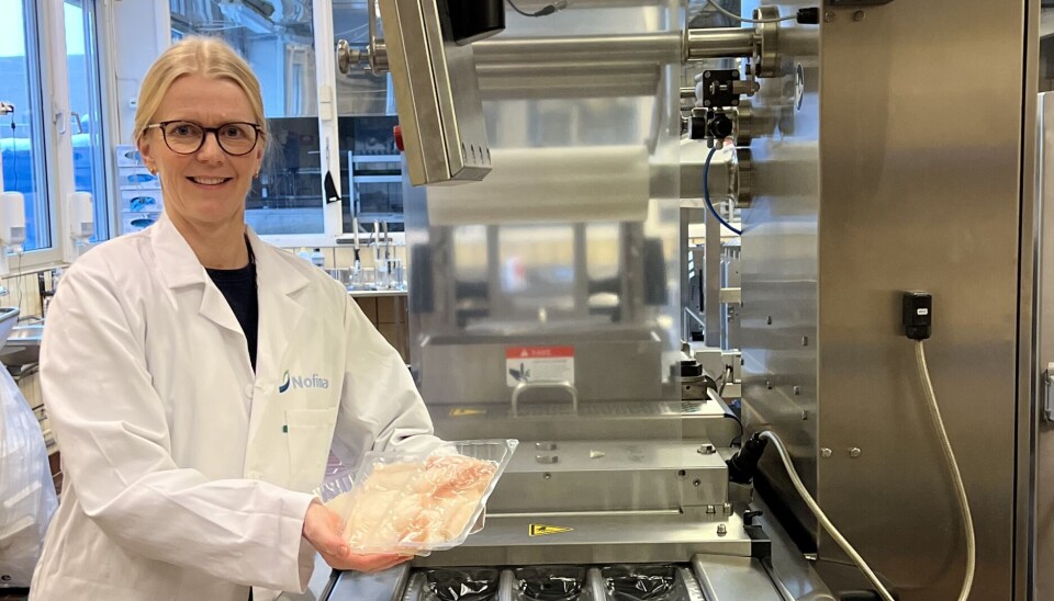 Nofima-forsker Anlaug Ådland Hansen har i samarbeid med fiskeindustrien bidratt med et produkt som reduserer klimautslippene med 30 prosent.
