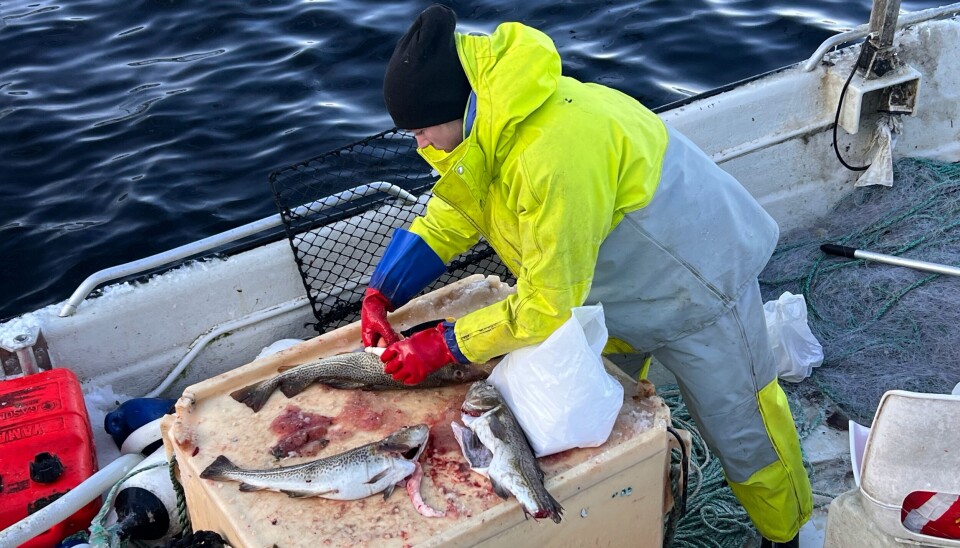 Regjerningen sier de styrker den minste fiskeflåten og de yngste fiskerne.
