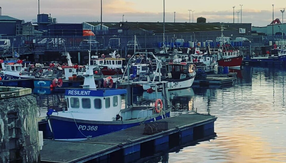 PETERHEAD havn grytidlig en morgen.