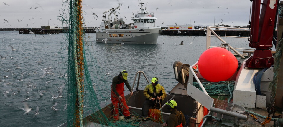Nå kan ungdommer søke sommerjobb som fiskere