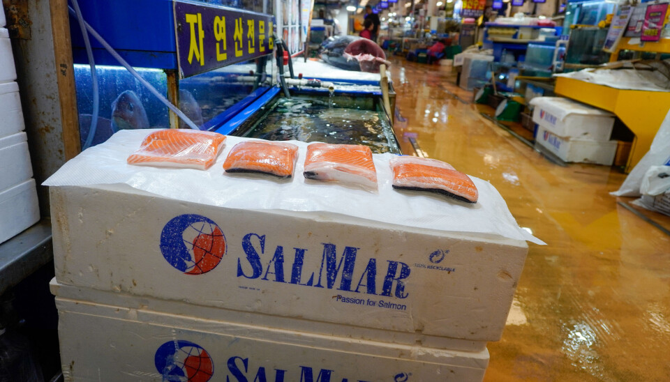 Norsk laks på fiskemarked i Sør-Korea.