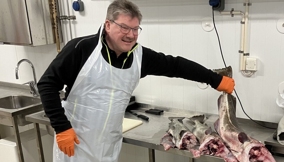 RÅFISKLAGET: Arne Magne Andersen fra Norges Råfisklag instruerte lærlingene i hvordan de jobber for å bedre kvaliteten på fisken.