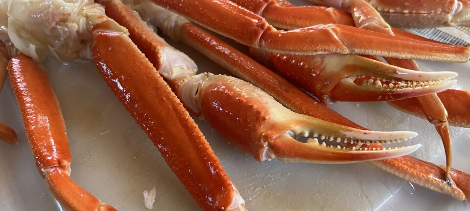 Valutaeffekt ga verdivekst i april for eksport av sjømat