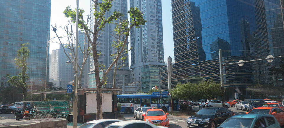 Norge og Sør-Korea undertegnet samarbeidsavtale om sjømat