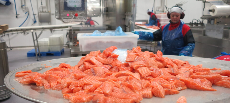 Verdivekst for laks og ørret bidro til solid sjømateksport i mai